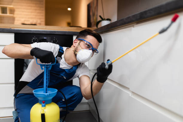 Best Ant Control Services  in Mangonia Park, FL