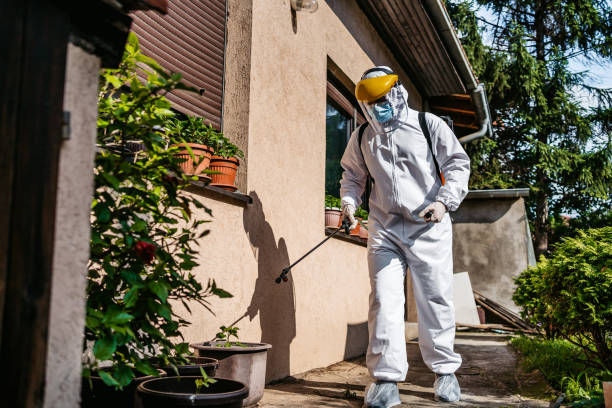 Best Cockroach Control Services  in Mangonia Park, FL