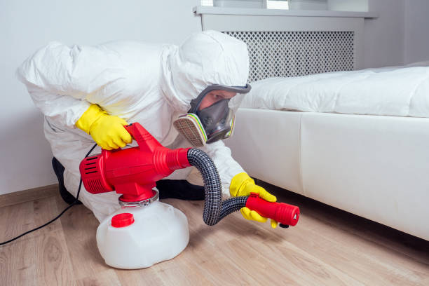 Best Bed Bug Extermination  in Mangonia Park, FL