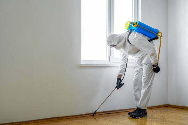 Best Pest Control for Homes  in Mangonia Park, FL