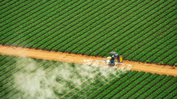 Best Pest Removal Services  in Mangonia Park, FL