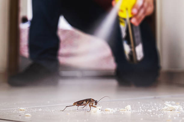 Best Wildlife Control Services  in Mangonia Park, FL